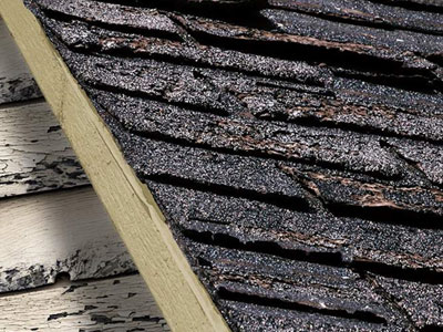 All City Roofing Corp Images